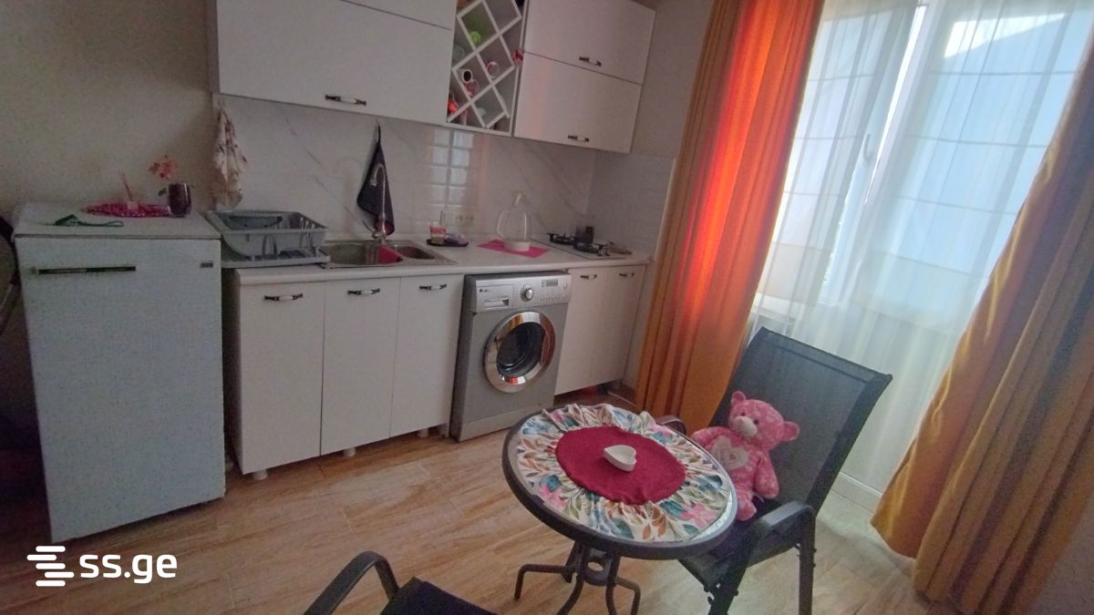 1 Room Flat Daily Rent. Rustavi view 2