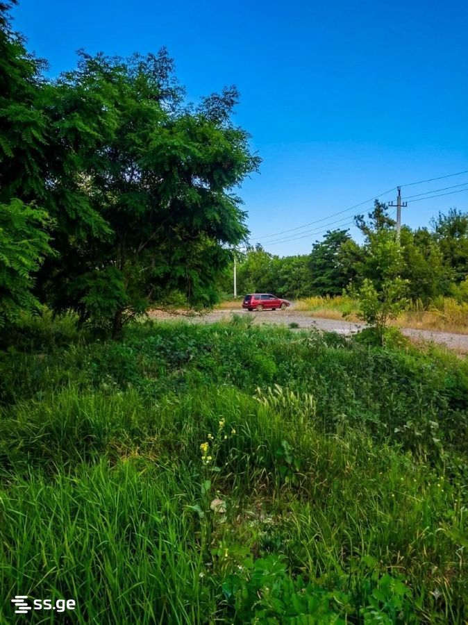 Land For Sale. Gori view 2