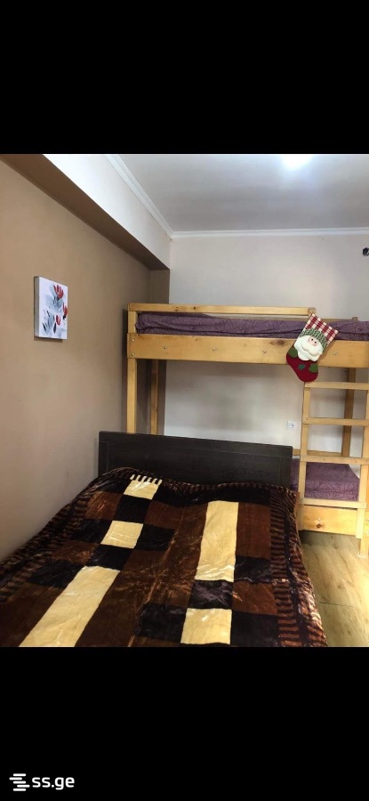 2 Room Flat For Rent. Bakuriani view 5