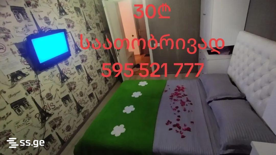 1 Room Flat Daily Rent. Rustavi view 5