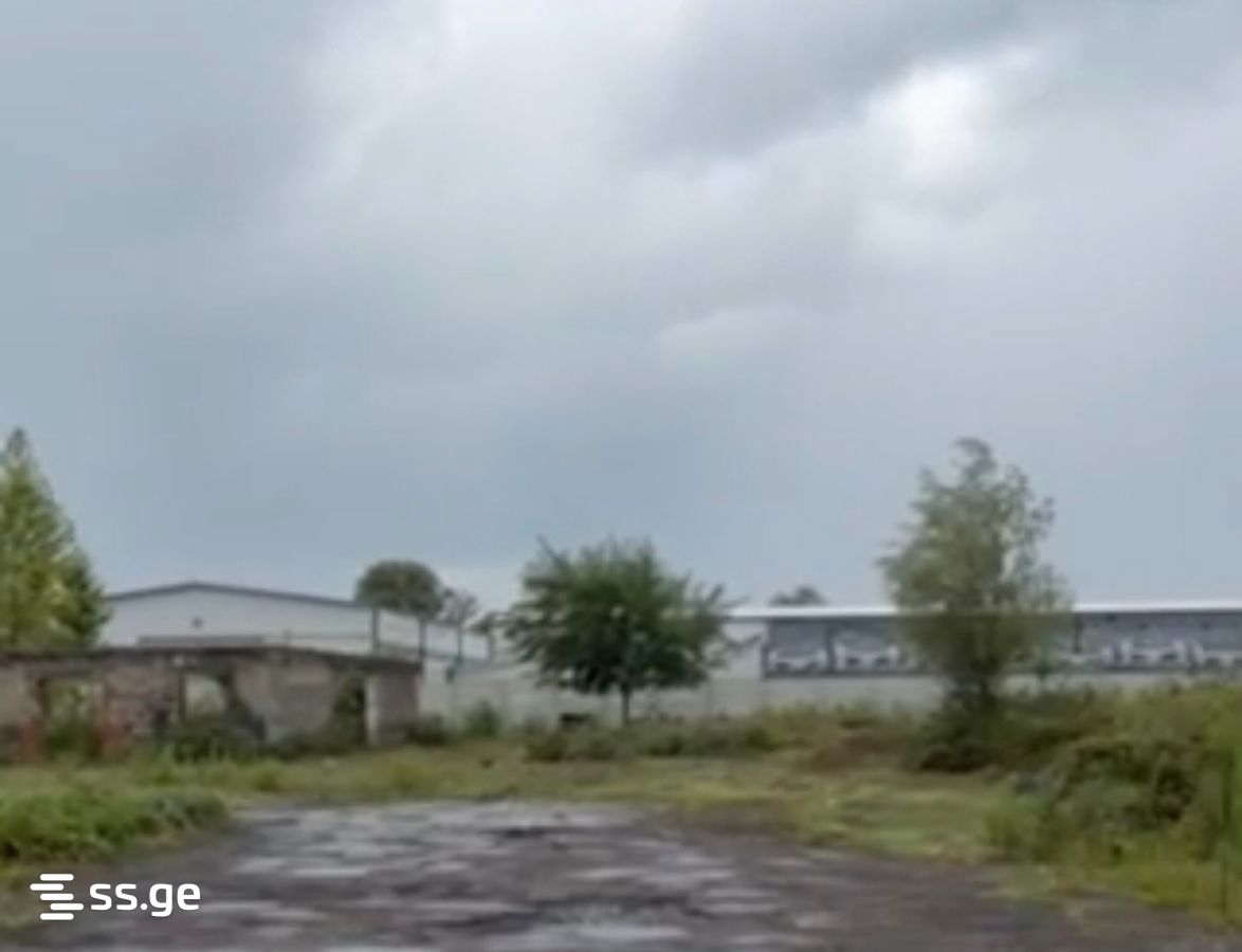 Land For Rent. Samtredia view 1