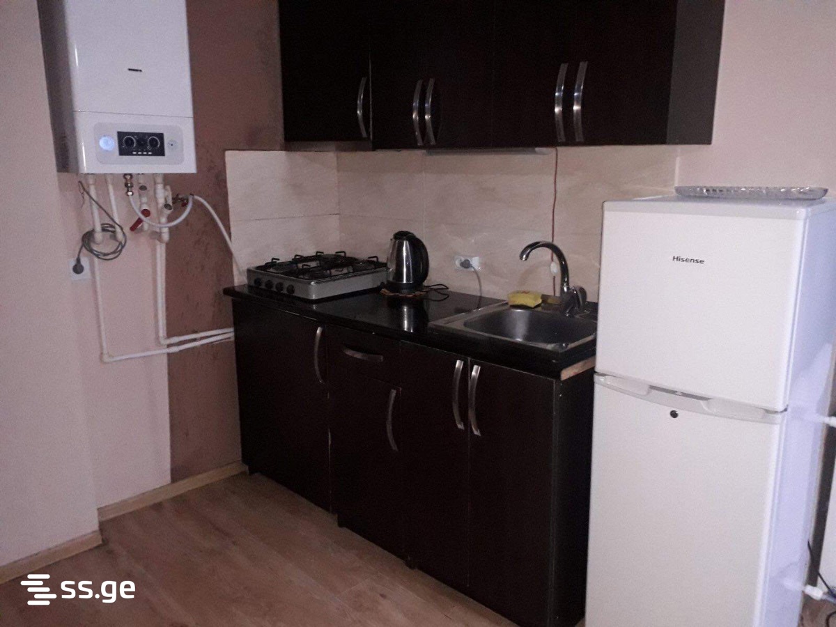2 Room Flat For Rent. Bakuriani view 1