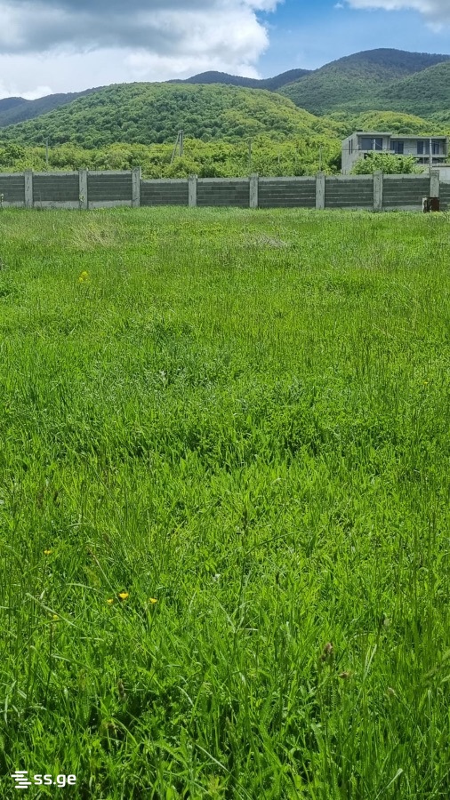 Land For Sale. Saguramo view 4