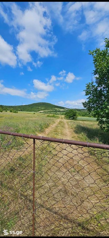 Agricultural Plot For Sale In Dusheti view 5