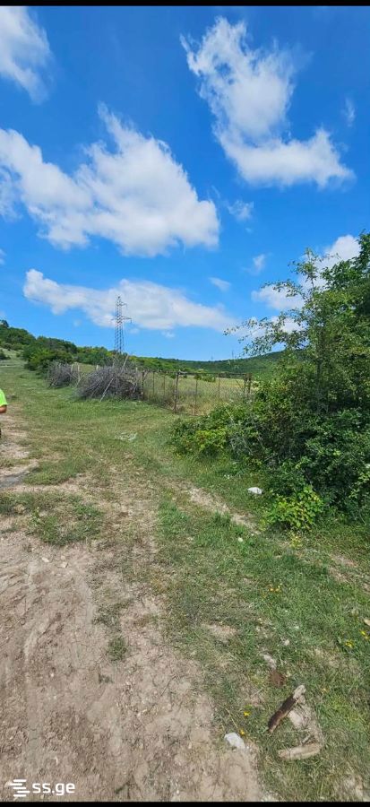 Agricultural Plot For Sale In Dusheti view 6
