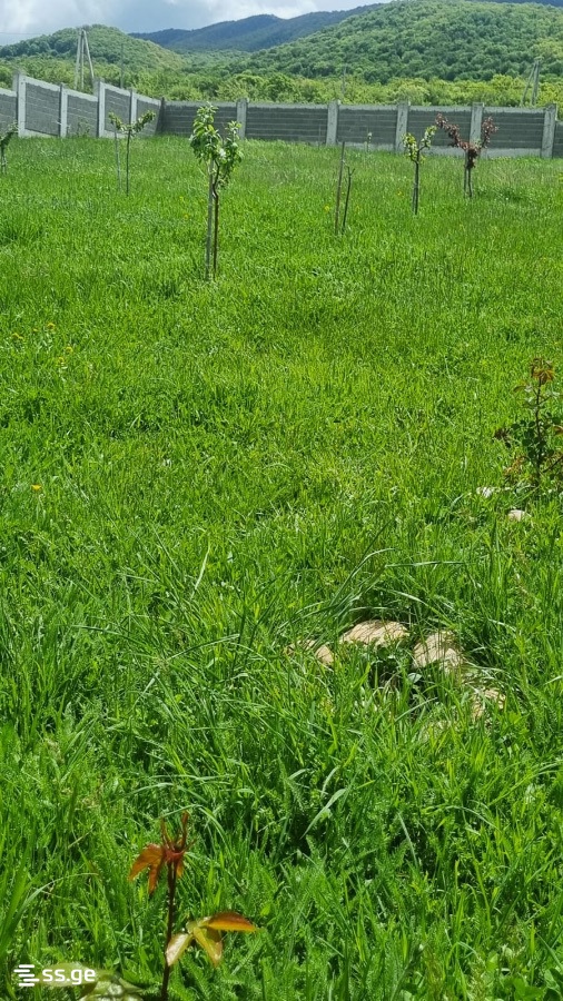Land For Sale. Saguramo view 7