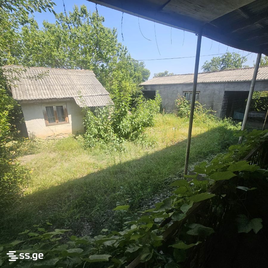 Private House For Sale. Signagi view 6