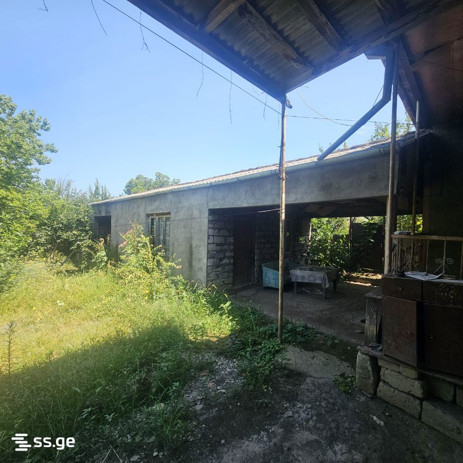 Private House For Sale. Signagi view 3