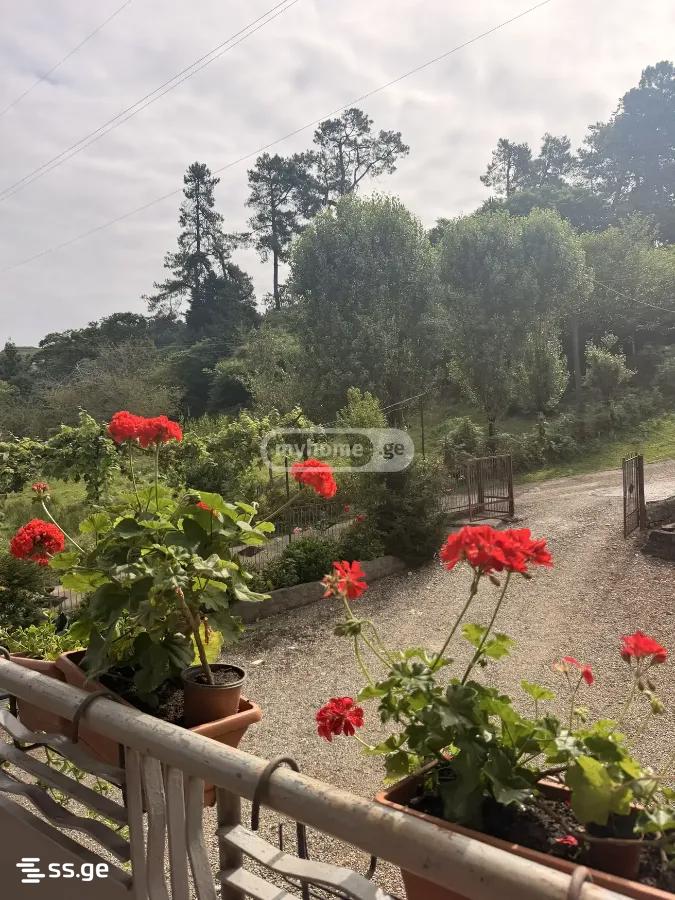 4 Room Private House For Rent. Chaqvi view 9