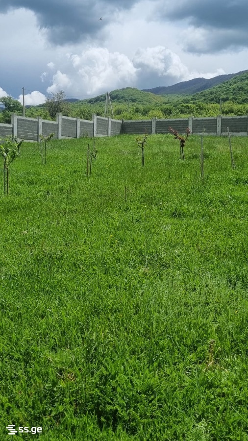 Land For Sale. Saguramo view 3