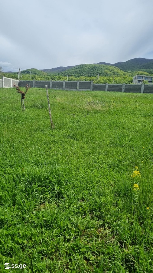 Land For Sale. Saguramo view 5