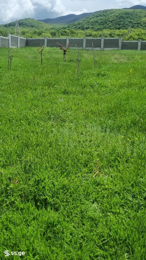 Land For Sale. Saguramo view 6