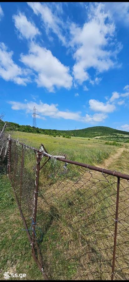 Agricultural Plot For Sale In Dusheti view 8