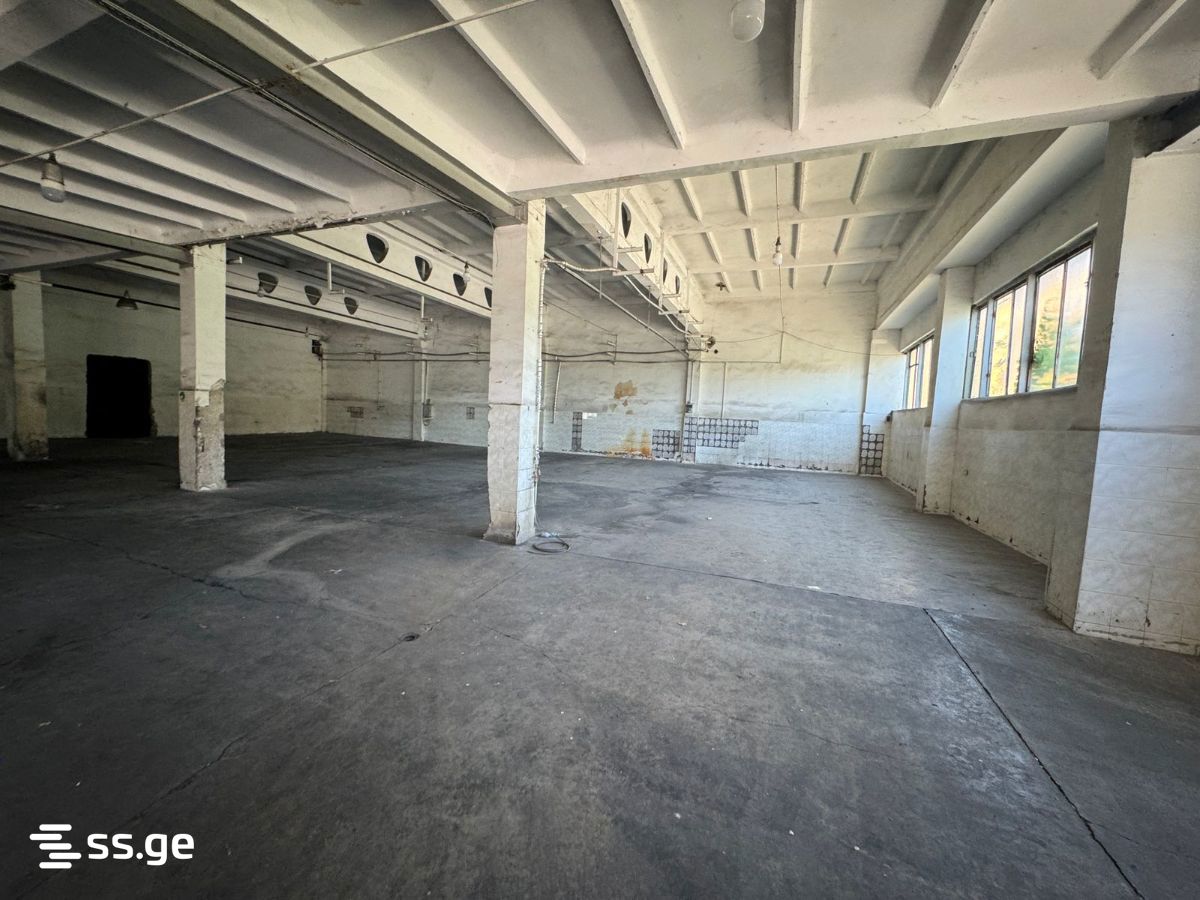 Store-Industrial Property For Rent. Rustavi view 2