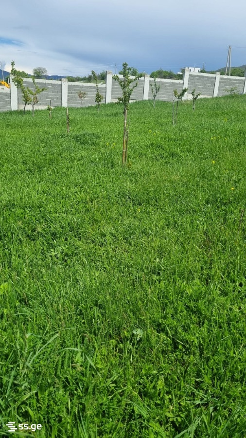 Land For Sale. Saguramo view 8