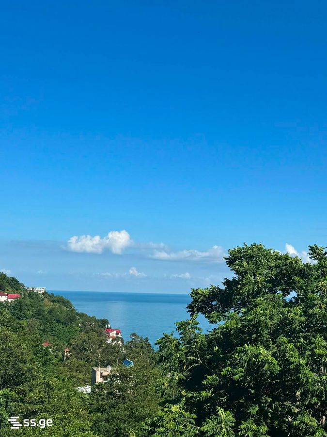 10 Room Summer Cottage For Rent. Kvariati view 2