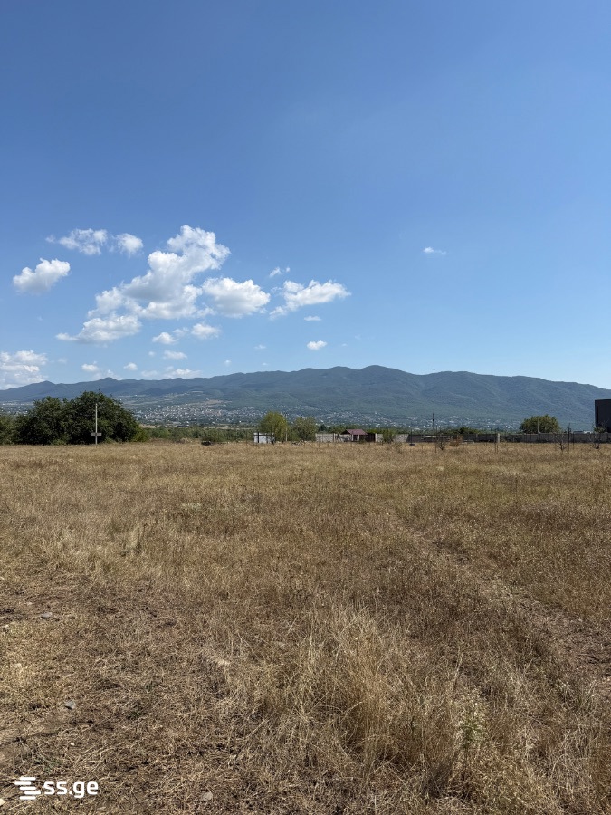 Land For Sale. Natakhtari view 1
