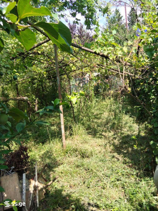 5 Room Private House For Sale view 14