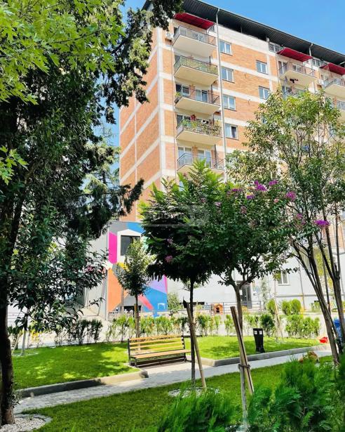 https://static.ss.ge/20260818/5_93fcf48d-f5a0-44ad-bfee-d7f41281fdaf_Thumb.jpg