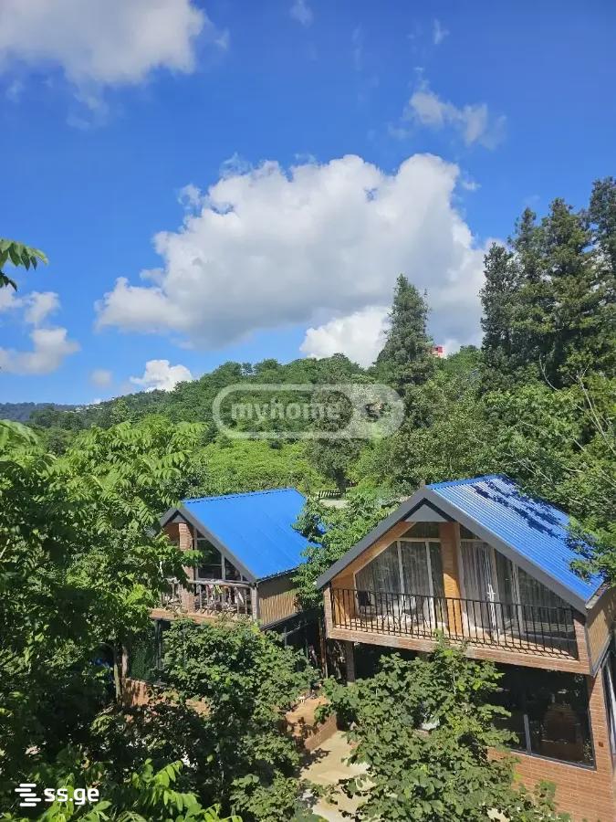 2 Room Private House Daily Rent. Batumi view 8