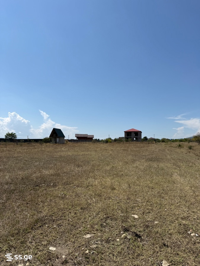 Land For Sale. Natakhtari view 6