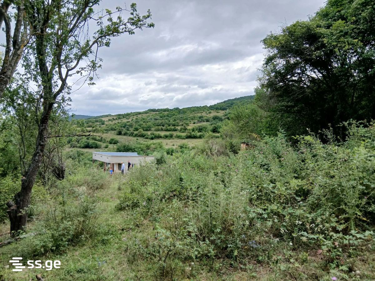 3 Room Private House For Sale view 12