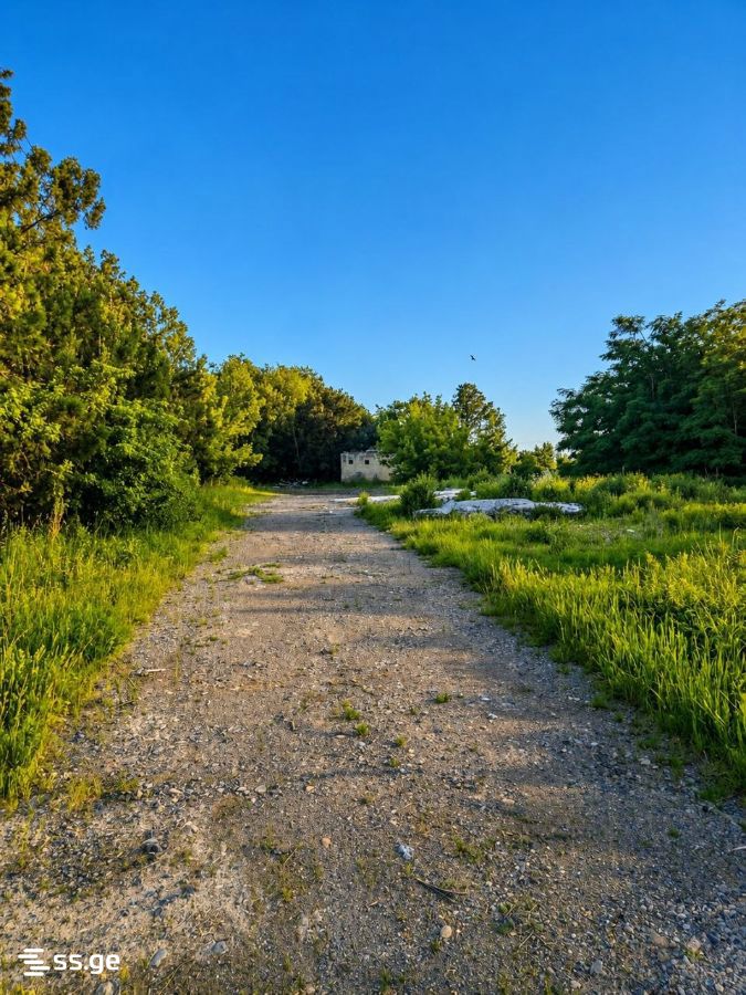 Land For Sale. Gori view 4