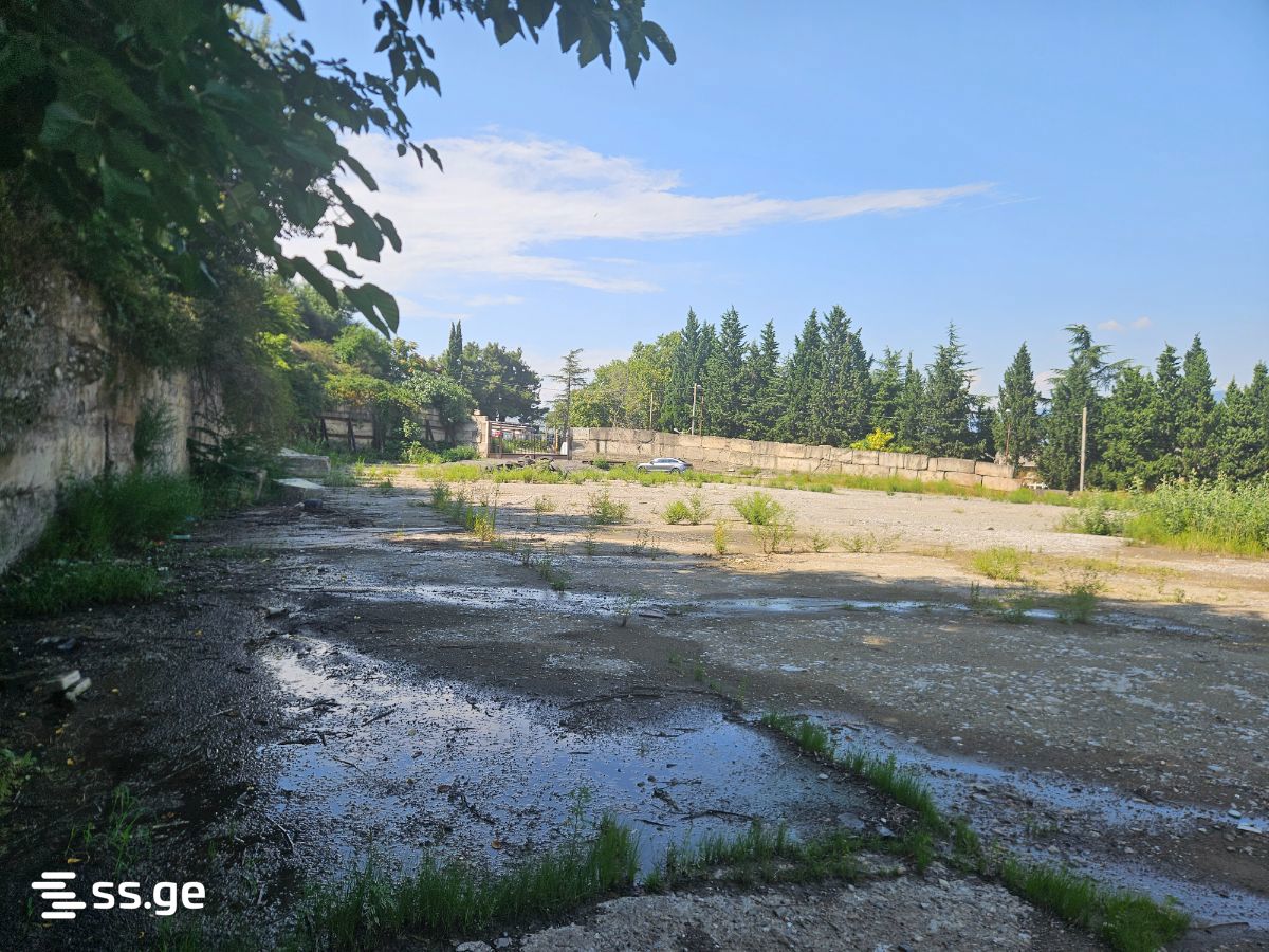 Land For Rent. Vashlijvari view 3