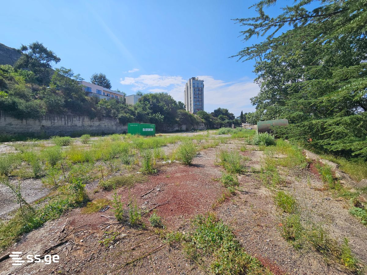 Land For Rent. Vashlijvari view 9
