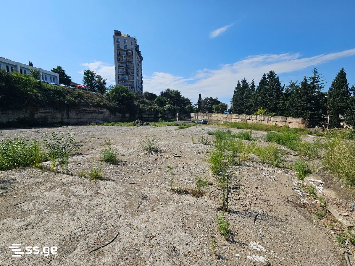 Land For Rent. Vashlijvari view 8