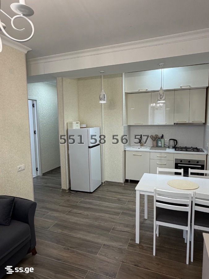 2 Room Flat Daily Rent. Telavi view 3