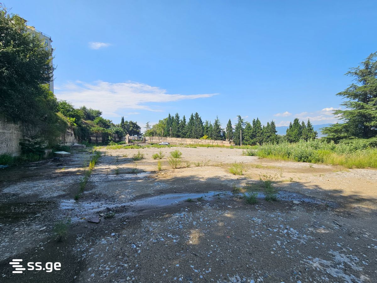 Land For Rent. Vashlijvari view 2