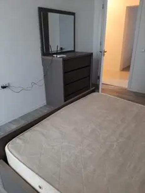 https://static.ss.ge/20260819/19_b0494259-1f19-4bc4-bd6d-e5355a4e4337_Thumb.jpg