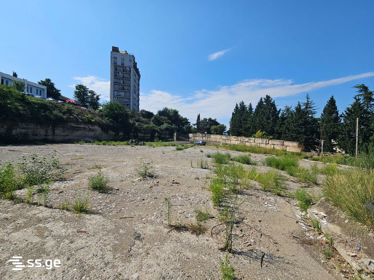 Land For Rent. Vashlijvari view 11