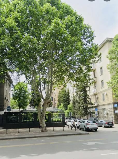 https://static.ss.ge/20260819/1_7694d1c1-9f00-4f02-b805-35016f518eca_Thumb.jpg