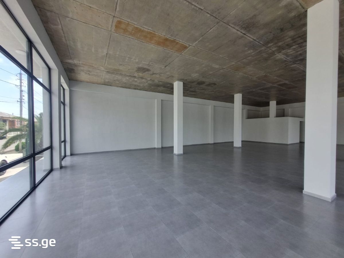 Commercial Space For Rent. Poti view 3