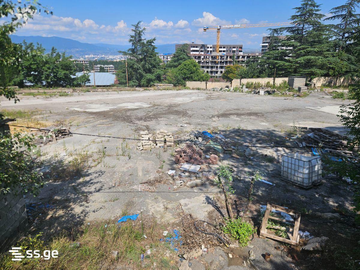 Land For Rent. Vashlijvari view 10