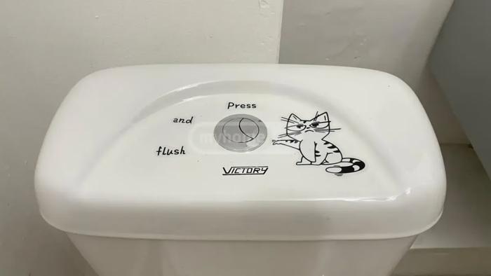 https://static.ss.ge/20260819/3_499b4f50-9026-462f-8989-33aa03776613_Thumb.jpg