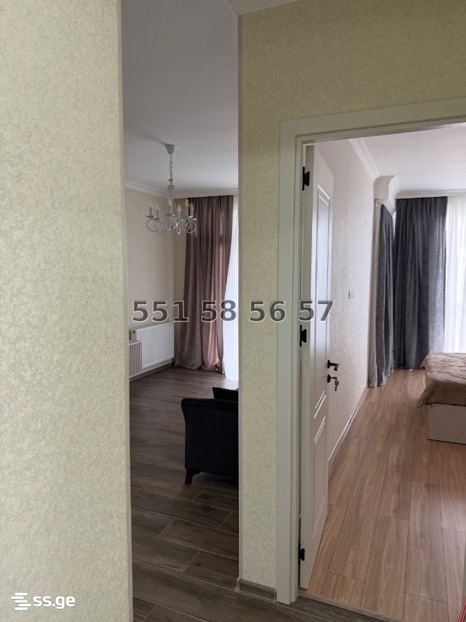 2 Room Flat Daily Rent. Telavi view 2
