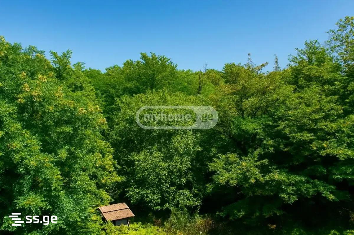 10 Room Private House For Sale view 14