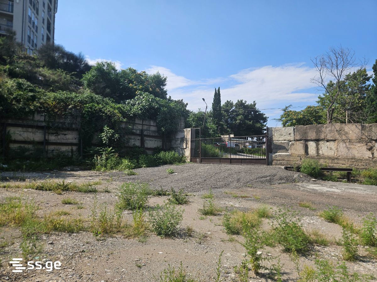 Land For Rent. Vashlijvari view 12