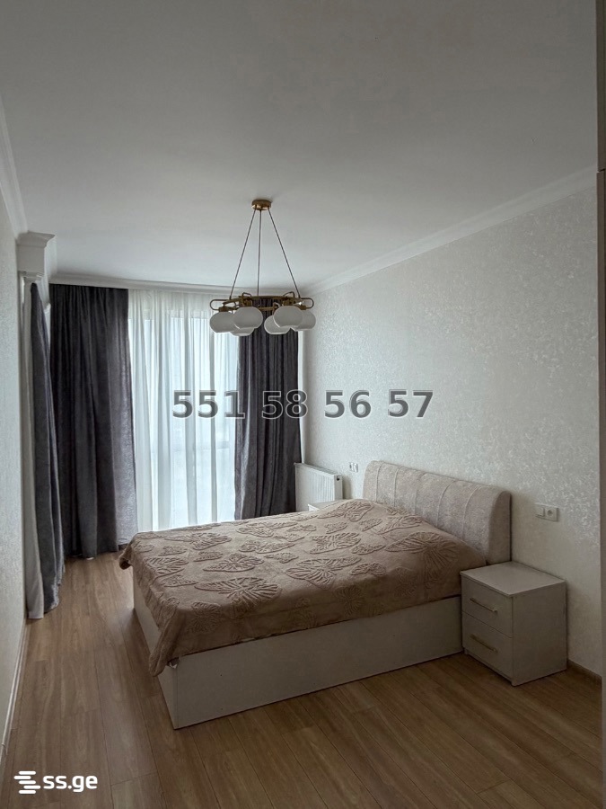 2 Room Flat Daily Rent. Telavi view 4