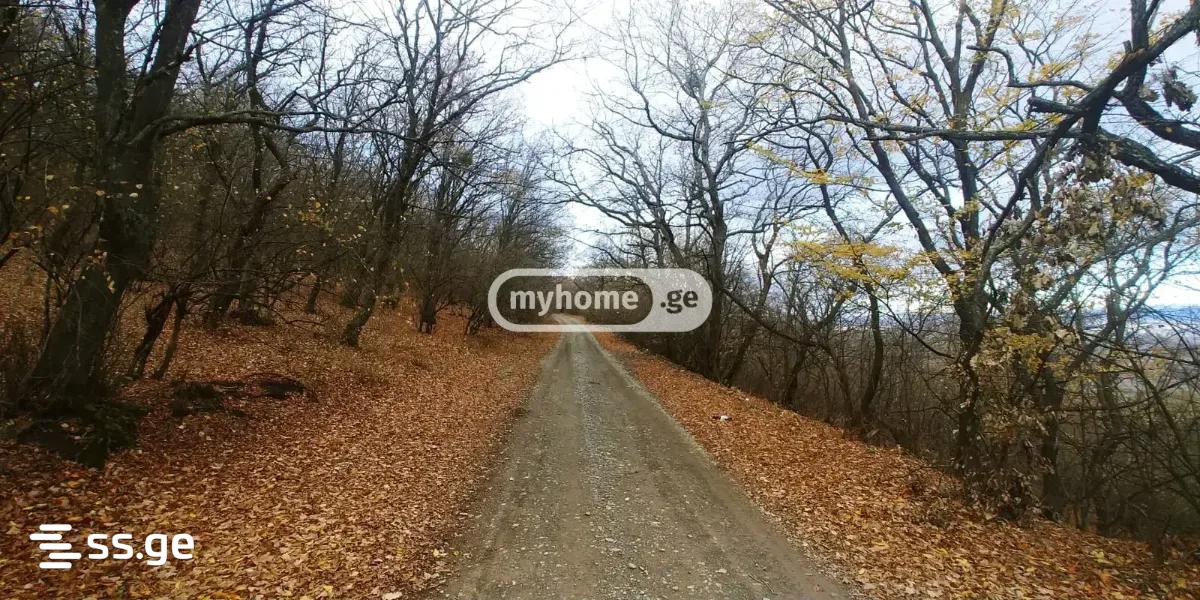 6 Room Summer Cottage For Sale view 19