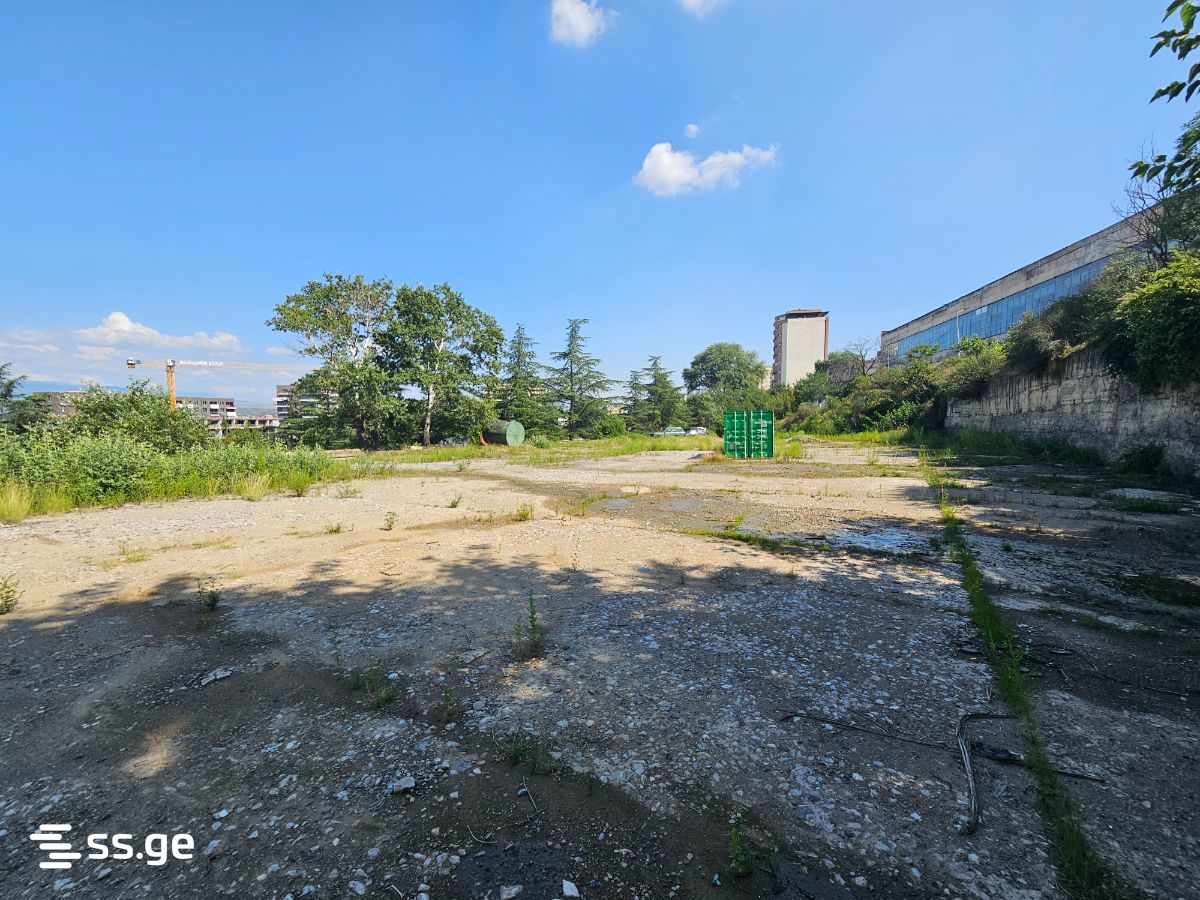 Land For Rent. Vashlijvari view 7