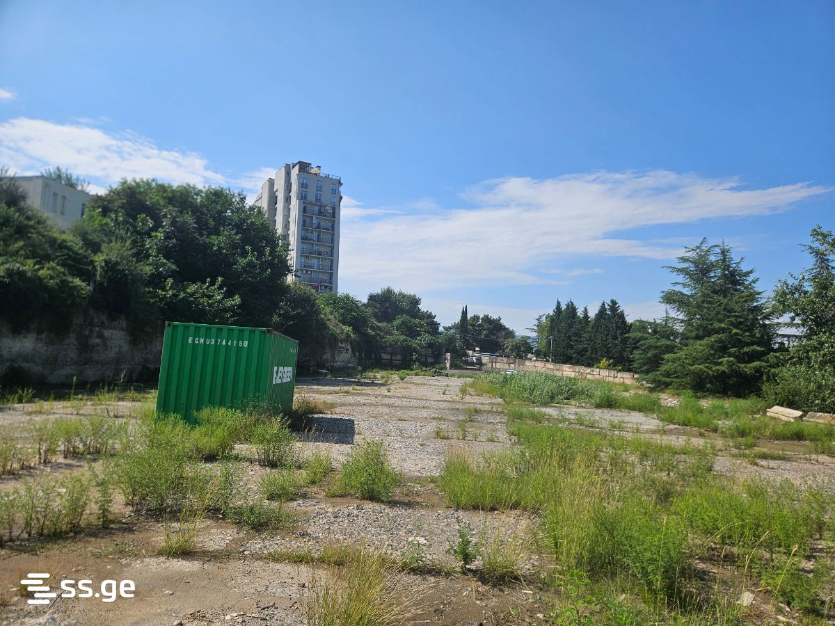Land For Rent. Vashlijvari view 4