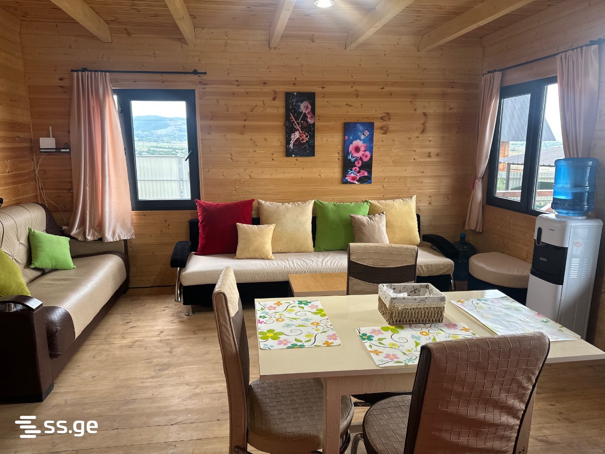 2 Room Summer Cottage Daily Rent. Bazaleti view 5
