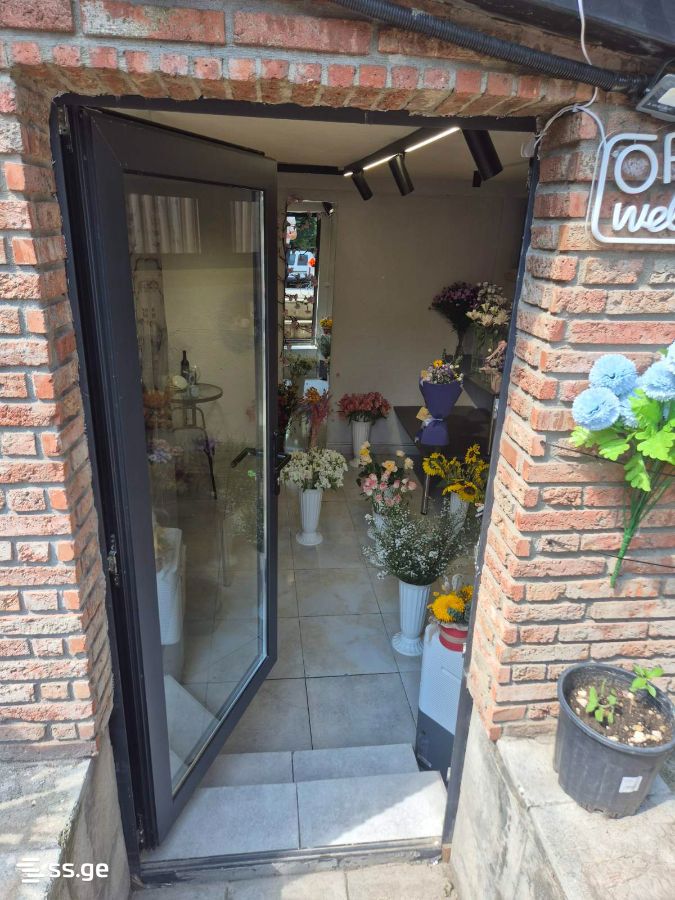 Commercial Real Estate For Sale. Mtatsminda view 2