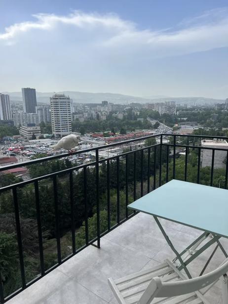 https://static.ss.ge/20260820/11_bfc2ee7d-232e-47a0-854f-2ab27b614202_Thumb.jpg