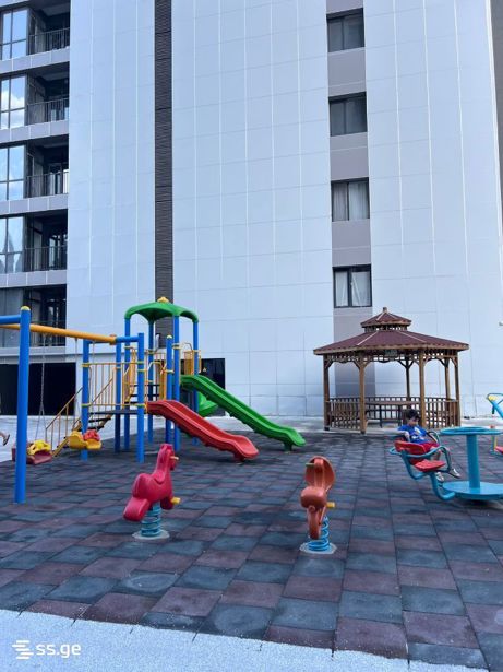 https://static.ss.ge/20260820/12_80879559-0581-4d4f-940b-a12deafa80ce_Thumb.jpg
