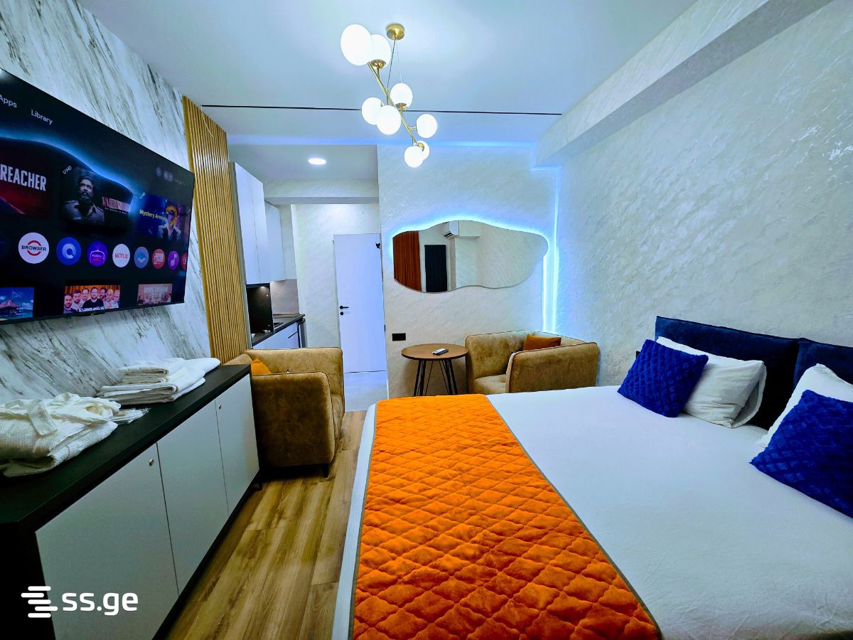 1 Room Flat Daily Rent. Nadzaladevi view 12